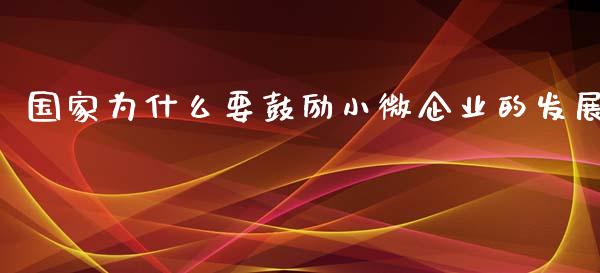 国家为什么要鼓励小微企业的发展_https://wap.lxcailiao.com_财务管理_第1张