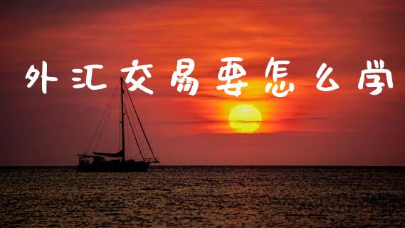 外汇交易要怎么学_https://wap.lxcailiao.com_股权投资_第1张