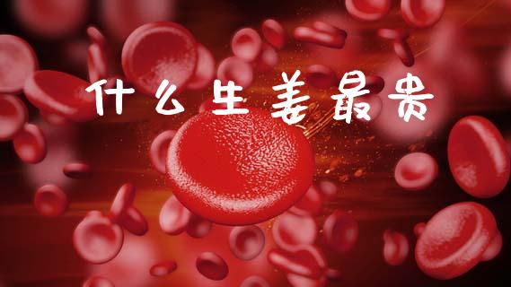 什么生姜最贵_https://wap.lxcailiao.com_财务管理_第1张