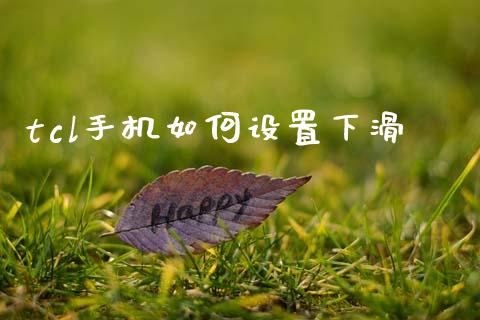 tcl手机如何设置下滑_https://wap.lxcailiao.com_金融监管_第1张