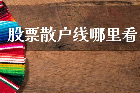 股票散户线哪里看_https://wap.lxcailiao.com_金融监管_第1张