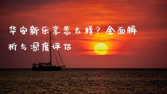 华安新乐享怎么样？全面解析与深度评估_https://wap.lxcailiao.com_股权投资_第1张
