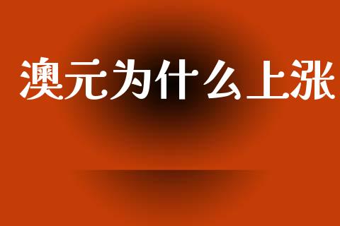 澳元为什么上涨_https://wap.lxcailiao.com_财务管理_第1张