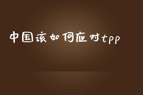 中国该如何应对tpp_https://wap.lxcailiao.com_股权投资_第1张
