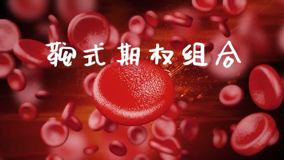 鞍式期权组合_https://wap.lxcailiao.com_金融监管_第1张