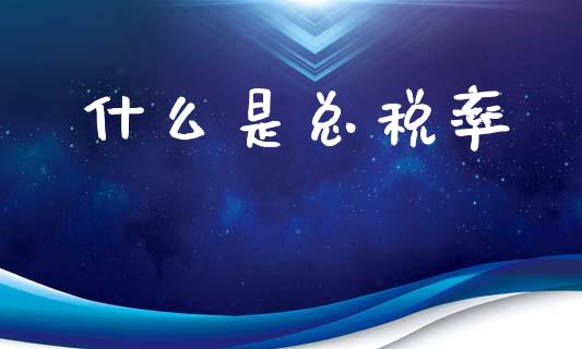 什么是总税率_https://wap.lxcailiao.com_财务管理_第1张
