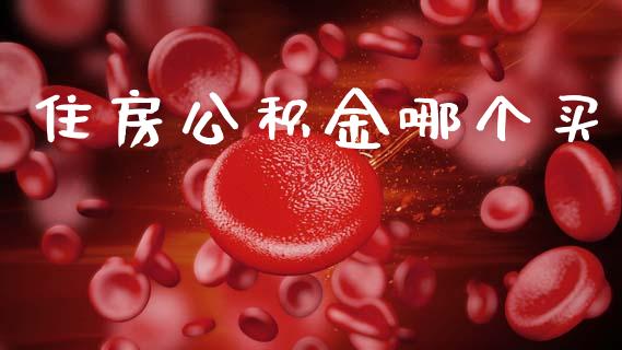 住房公积金哪个买_https://wap.lxcailiao.com_股权投资_第1张