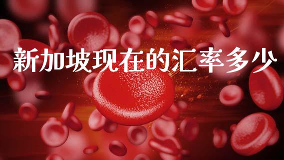 新加坡现在的汇率多少_https://wap.lxcailiao.com_股权投资_第1张