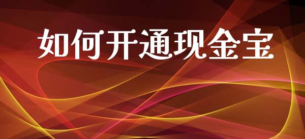 如何开通现金宝_https://wap.lxcailiao.com_融资担保_第1张