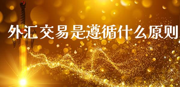 外汇交易是遵循什么原则_https://wap.lxcailiao.com_财务管理_第1张