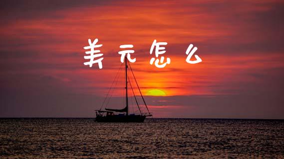 美元怎么_https://wap.lxcailiao.com_融资担保_第1张