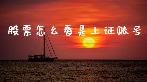 股票怎么看是上证账号_https://wap.lxcailiao.com_财务管理_第1张