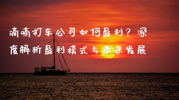 滴嘀打车公司如何盈利？深度解析盈利模式与未来发展_https://wap.lxcailiao.com_金融监管_第1张