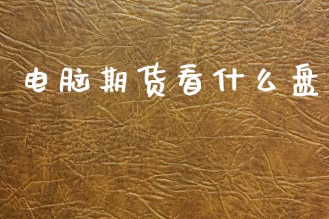 电脑期货看什么盘_https://wap.lxcailiao.com_财务管理_第1张