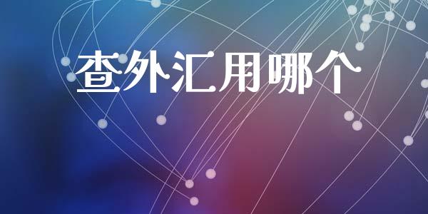 查外汇用哪个_https://wap.lxcailiao.com_股权投资_第1张
