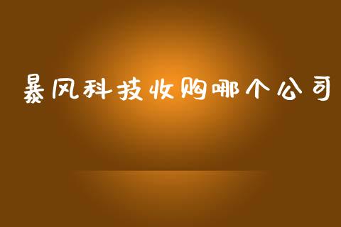 暴风科技收购哪个公司_https://wap.lxcailiao.com_融资担保_第1张