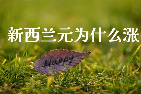 新西兰元为什么涨_https://wap.lxcailiao.com_融资担保_第1张