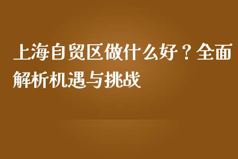上海自贸区做什么好？全面解析机遇与挑战_https://wap.lxcailiao.com_金融监管_第1张