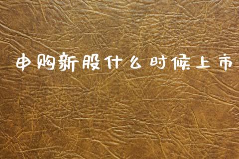 申购新股什么时候上市_https://wap.lxcailiao.com_财务管理_第1张
