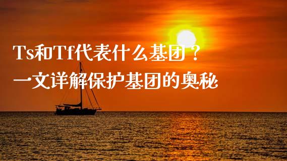 Ts和Tf代表什么基团？一文详解保护基团的奥秘_https://wap.lxcailiao.com_财务管理_第1张