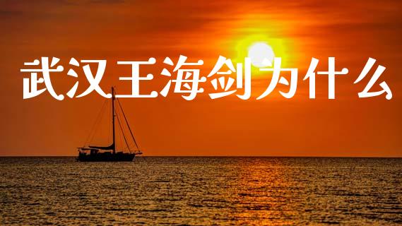 武汉王海剑为什么_https://wap.lxcailiao.com_金融监管_第1张