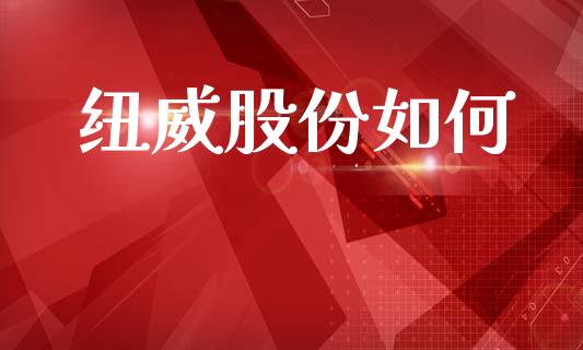 纽威股份如何_https://wap.lxcailiao.com_融资担保_第1张