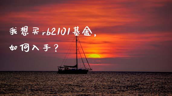 我想买rb2101基金，如何入手？_https://wap.lxcailiao.com_财务管理_第1张