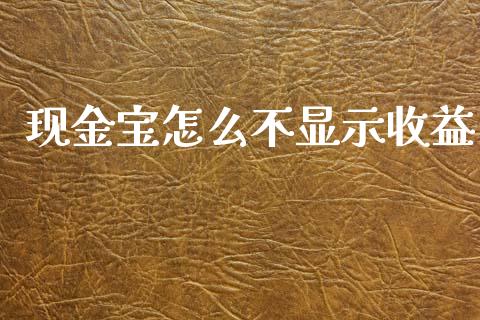 现金宝怎么不显示收益_https://wap.lxcailiao.com_财务管理_第1张