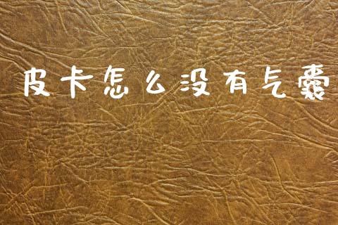 皮卡怎么没有气囊_https://wap.lxcailiao.com_财务管理_第1张