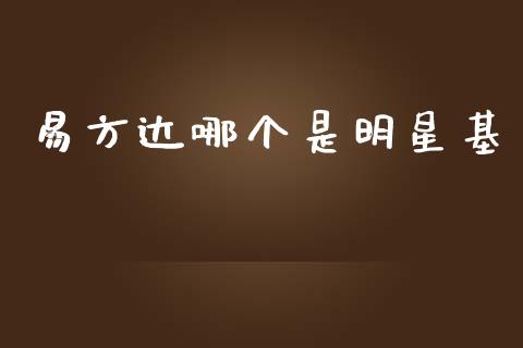 易方达哪个是明星基_https://wap.lxcailiao.com_融资担保_第1张