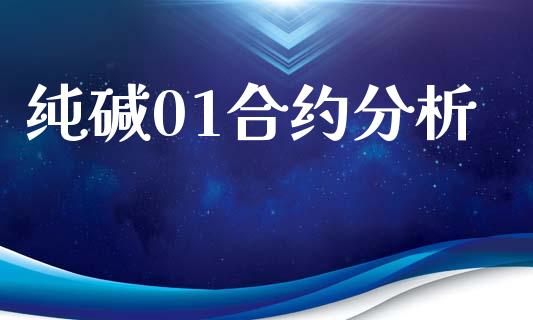 纯碱01合约分析_https://wap.lxcailiao.com_股权投资_第1张