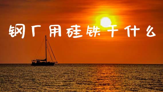 钢厂用硅铁干什么_https://wap.lxcailiao.com_金融监管_第1张