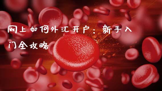 网上如何外汇开户：新手入门全攻略_https://wap.lxcailiao.com_融资担保_第1张