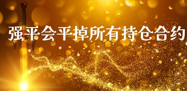 强平会平掉所有持仓合约_https://wap.lxcailiao.com_金融监管_第1张