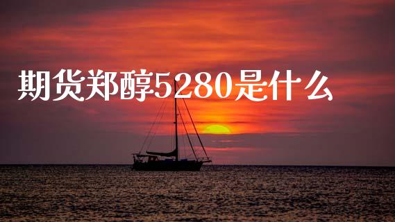 期货郑醇5280是什么_https://wap.lxcailiao.com_融资担保_第1张