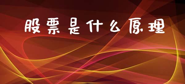 股票是什么原理_https://wap.lxcailiao.com_融资担保_第1张