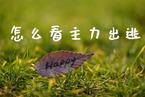 怎么看主力出逃_https://wap.lxcailiao.com_融资担保_第1张