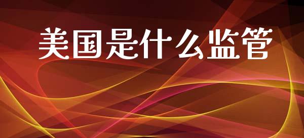 美国是什么监管_https://wap.lxcailiao.com_股权投资_第1张