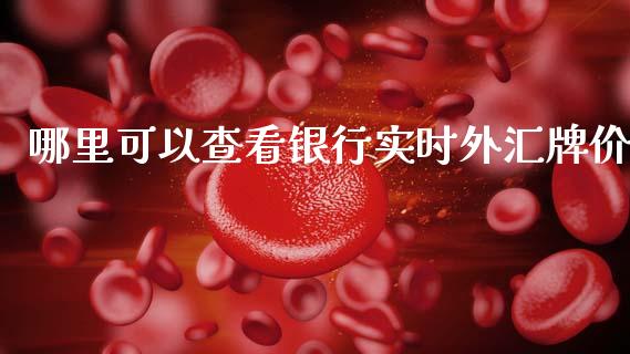 哪里可以查看银行实时外汇牌价_https://wap.lxcailiao.com_融资担保_第1张