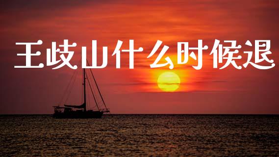 王歧山什么时候退_https://wap.lxcailiao.com_金融监管_第1张