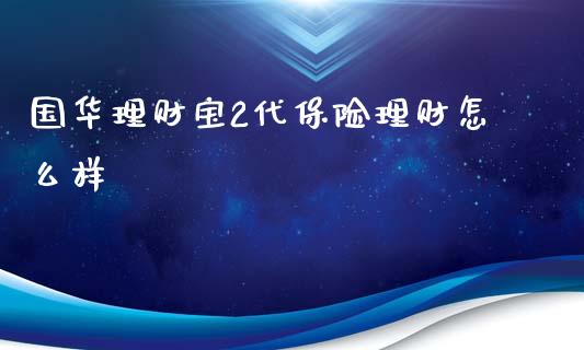 国华理财宝2代保险理财怎么样_https://wap.lxcailiao.com_财务管理_第1张