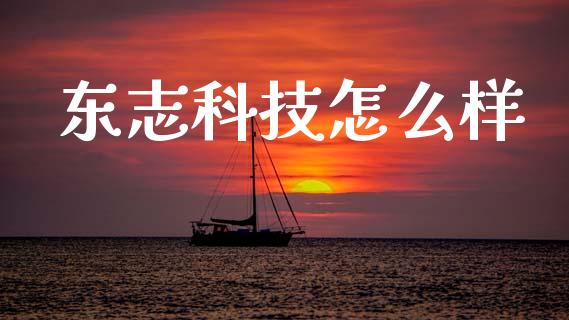 东志科技怎么样_https://wap.lxcailiao.com_股权投资_第1张