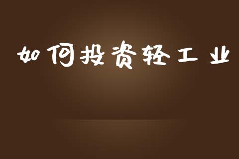 如何投资轻工业_https://wap.lxcailiao.com_财务管理_第1张