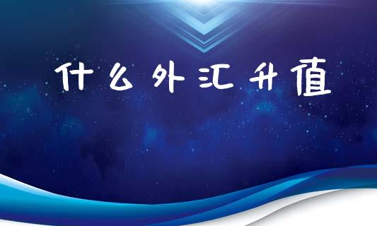 什么外汇升值_https://wap.lxcailiao.com_股权投资_第1张