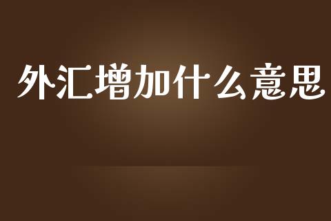 外汇增加什么意思_https://wap.lxcailiao.com_股权投资_第1张