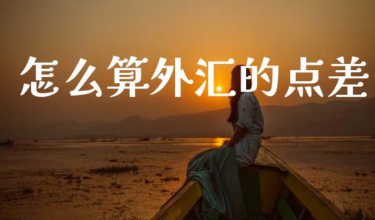 怎么算外汇的点差_https://wap.lxcailiao.com_融资担保_第1张
