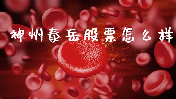 神州泰岳股票怎么样_https://wap.lxcailiao.com_融资担保_第1张