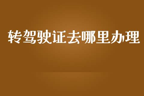 转驾驶证去哪里办理_股权投资_第1张_金融监管_融资担保_财务管理_股权投资 转驾驶证去哪里办理_https://wap.lxcailiao.com_股权投资_第1张