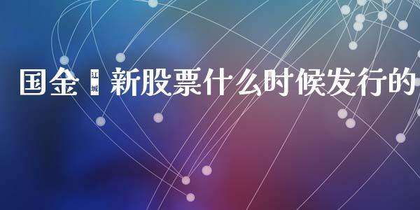 国金鑫新股票什么时候发行的_https://wap.lxcailiao.com_财务管理_第1张