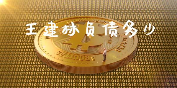 王建林负债多少_https://wap.lxcailiao.com_股权投资_第1张